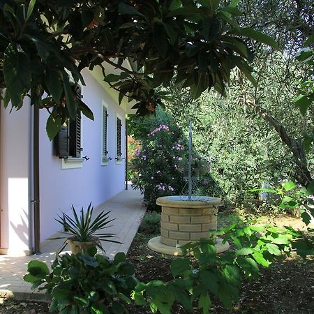 B&B Valmarecchia Poggio Berni Exterior photo